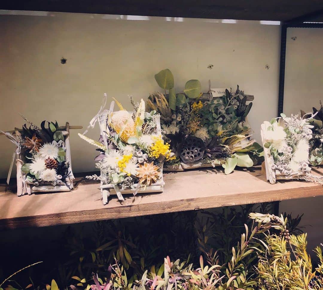 大河内奈々子さんのインスタグラム写真 - (大河内奈々子Instagram)「・ Flower Flame🌿 ・ お店に出したら　もう売れてしまってたものあるそうで。。。 ・ ご希望サイズなどはご注文くださいね ・ #flower #flowerstagram #花のある暮らし  #ロスフラワー #捨てないお花　#blooom #marineandwalk #sbotanical」3月7日 21時22分 - nanakoohkouchi