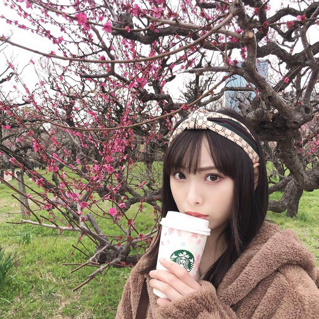 梅山恋和さんのインスタグラム写真 - (梅山恋和Instagram)「#557 #梅の花 #スタバ  #大阪城 #梅林 #彼女感 #❤️❤️ #梅とうめぴー☺️ #おもち映え」3月7日 21時36分 - cocona_umeyama