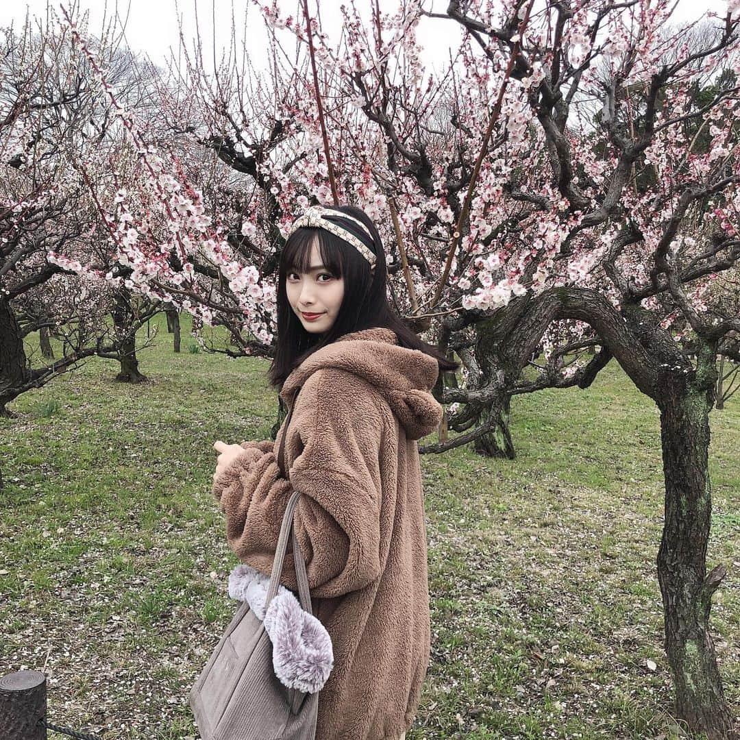 梅山恋和さんのインスタグラム写真 - (梅山恋和Instagram)「#557 #梅の花 #スタバ  #大阪城 #梅林 #彼女感 #❤️❤️ #梅とうめぴー☺️ #おもち映え」3月7日 21時36分 - cocona_umeyama
