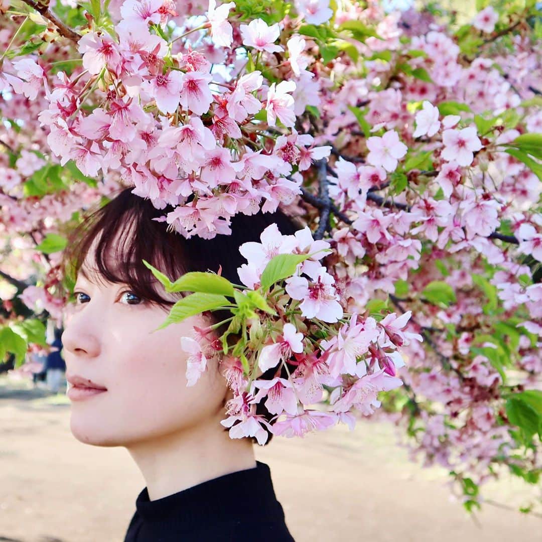 佐藤愛子のインスタグラム：「「桜」と聞くと、必ず、コブクロさんの桜のPVに出させてもらった当時のことを思い出す。 とても素敵な思い出。  #桜 #コブクロ #sakura #cherryblossom #flowerstagram #satoaiko #花のある風景 #花」