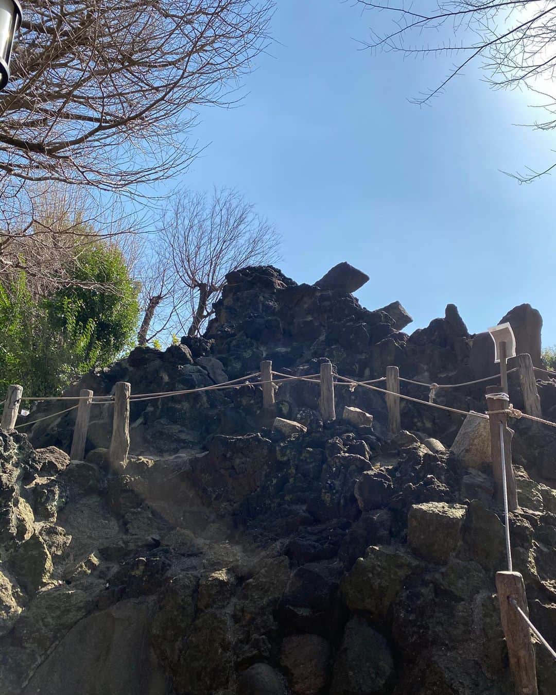 尾崎ありささんのインスタグラム写真 - (尾崎ありさInstagram)「📍鳩森八幡神社  かわいいピンクの河津桜や梅の花が満開でとても綺麗でした🥰  ここはオリンピックが開催される国立競技場の近くで、多くの人が集まる場所。 人が多く集まる場所は、運気が上がるそう✨  かわいい鳩のおみくじを引いて、富士塚にも登ったよ！  富士山に登頂するのと同じくらいご利益があると言われる富士塚🗻  お天気がいい日に行くのがおすすめです☀️ #トーキョーミント #tokyomintoo #ミントアンバサダー #鳩森神社 #千駄ヶ谷 #富士山 #桜 #sakura #河津桜 #cherryblossom #mtfuji #富士塚 #お花見 #japan #tokyo #御朱印 #trip #japanesegirl #寺社巡り#寺社仏閣 #御朱印巡り #東京散歩 #東京 #東カレ倶楽部 #ご朱印 #ご朱印巡り#参拝 #御朱印女子 #参拝 #flower #おみくじ」3月7日 21時57分 - also1219