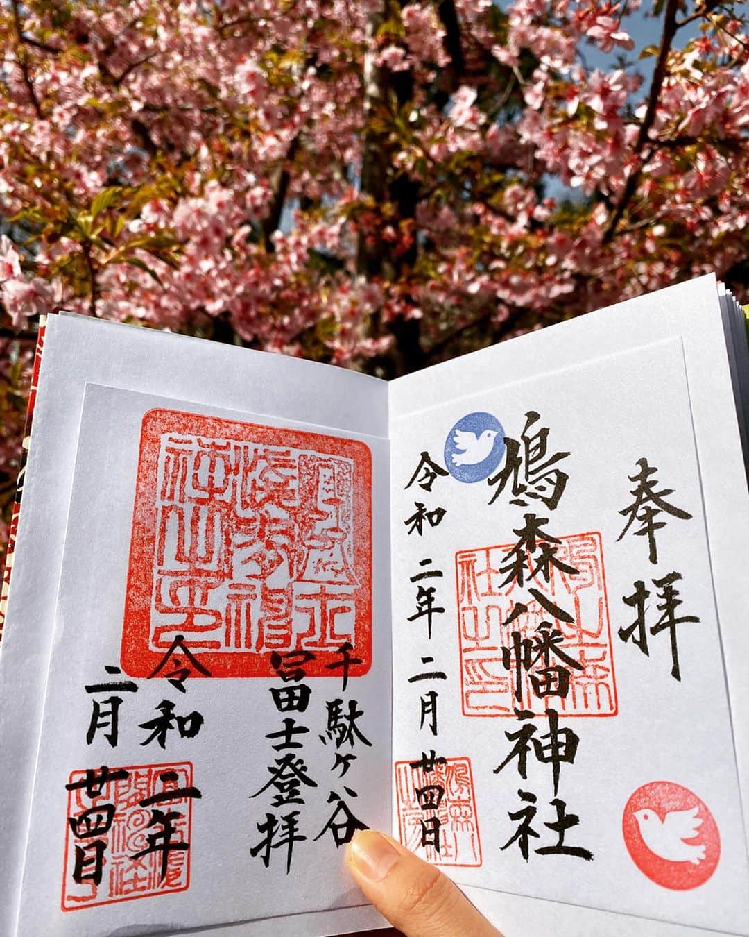 尾崎ありささんのインスタグラム写真 - (尾崎ありさInstagram)「📍鳩森八幡神社  かわいいピンクの河津桜や梅の花が満開でとても綺麗でした🥰  ここはオリンピックが開催される国立競技場の近くで、多くの人が集まる場所。 人が多く集まる場所は、運気が上がるそう✨  かわいい鳩のおみくじを引いて、富士塚にも登ったよ！  富士山に登頂するのと同じくらいご利益があると言われる富士塚🗻  お天気がいい日に行くのがおすすめです☀️ #トーキョーミント #tokyomintoo #ミントアンバサダー #鳩森神社 #千駄ヶ谷 #富士山 #桜 #sakura #河津桜 #cherryblossom #mtfuji #富士塚 #お花見 #japan #tokyo #御朱印 #trip #japanesegirl #寺社巡り#寺社仏閣 #御朱印巡り #東京散歩 #東京 #東カレ倶楽部 #ご朱印 #ご朱印巡り#参拝 #御朱印女子 #参拝 #flower #おみくじ」3月7日 21時57分 - also1219
