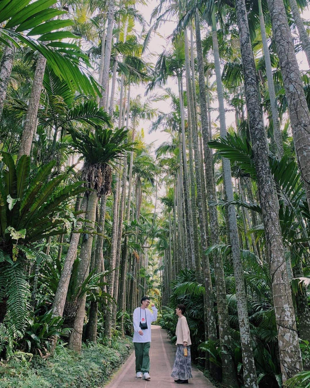 my9mj8さんのインスタグラム写真 - (my9mj8Instagram)「﻿ ﻿ 東南植物楽園🌺﻿ ﻿ ここでちょっとともちゃんらと合流！﻿ ﻿ 動物と亜熱帯の植物もみれて楽しめた😌﻿ 時間なくてゆっくり出来なかったから﻿ また行きたいな〜！﻿ （動物たちのご飯やりに夢中すぎた笑）﻿ ﻿ 最後の動画はシュールな会話があるので良かったみてみてね😂﻿ ﻿ ﻿ #沖縄旅行#沖縄#okinawa﻿」3月7日 22時06分 - my9mj8