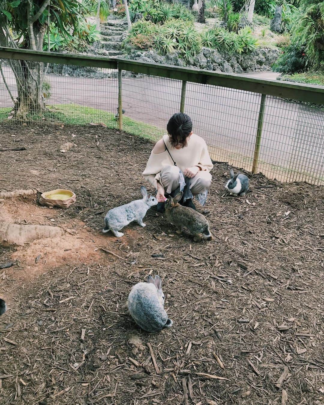 my9mj8さんのインスタグラム写真 - (my9mj8Instagram)「﻿ ﻿ 東南植物楽園🌺﻿ ﻿ ここでちょっとともちゃんらと合流！﻿ ﻿ 動物と亜熱帯の植物もみれて楽しめた😌﻿ 時間なくてゆっくり出来なかったから﻿ また行きたいな〜！﻿ （動物たちのご飯やりに夢中すぎた笑）﻿ ﻿ 最後の動画はシュールな会話があるので良かったみてみてね😂﻿ ﻿ ﻿ #沖縄旅行#沖縄#okinawa﻿」3月7日 22時06分 - my9mj8