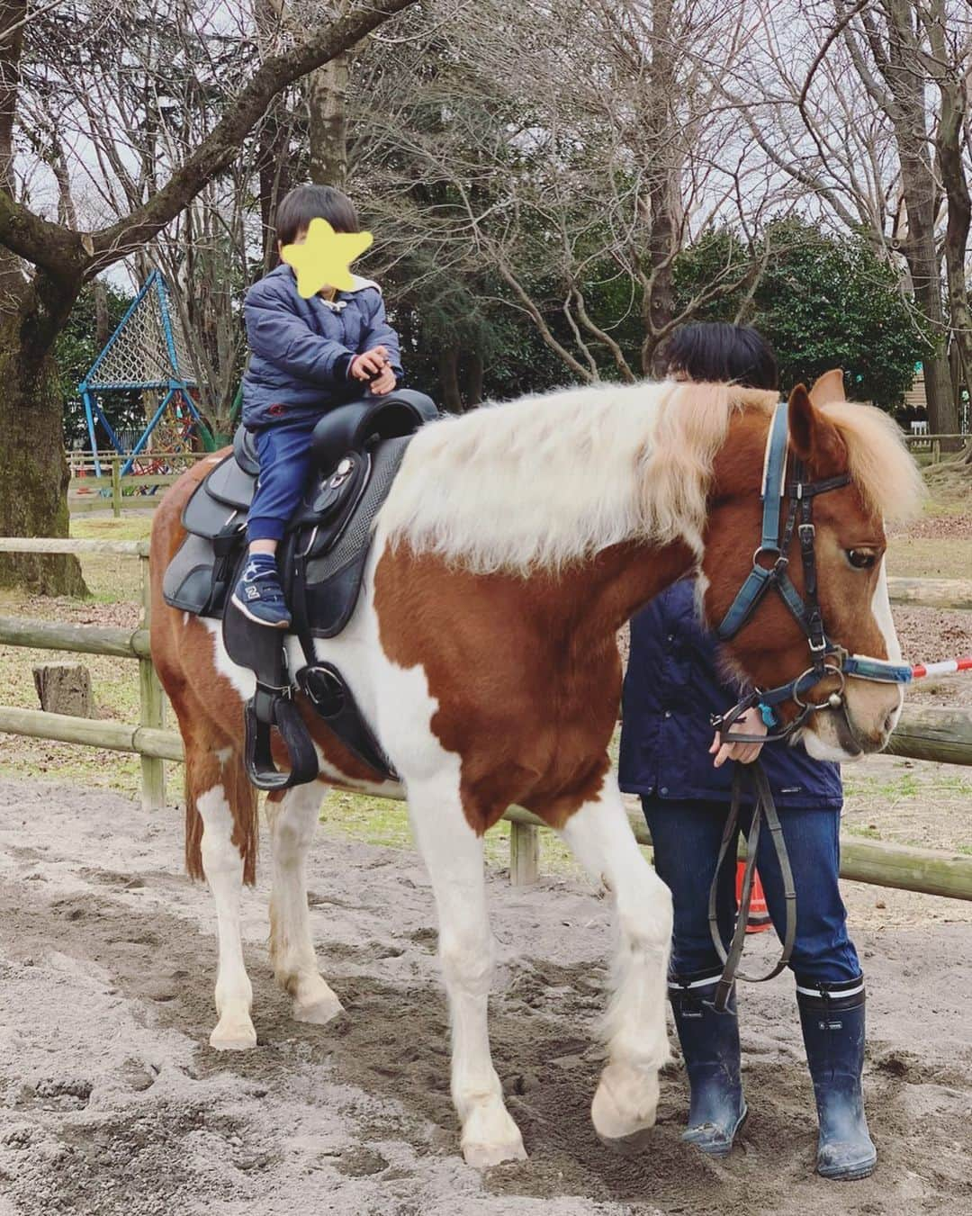 桜井未来のインスタグラム