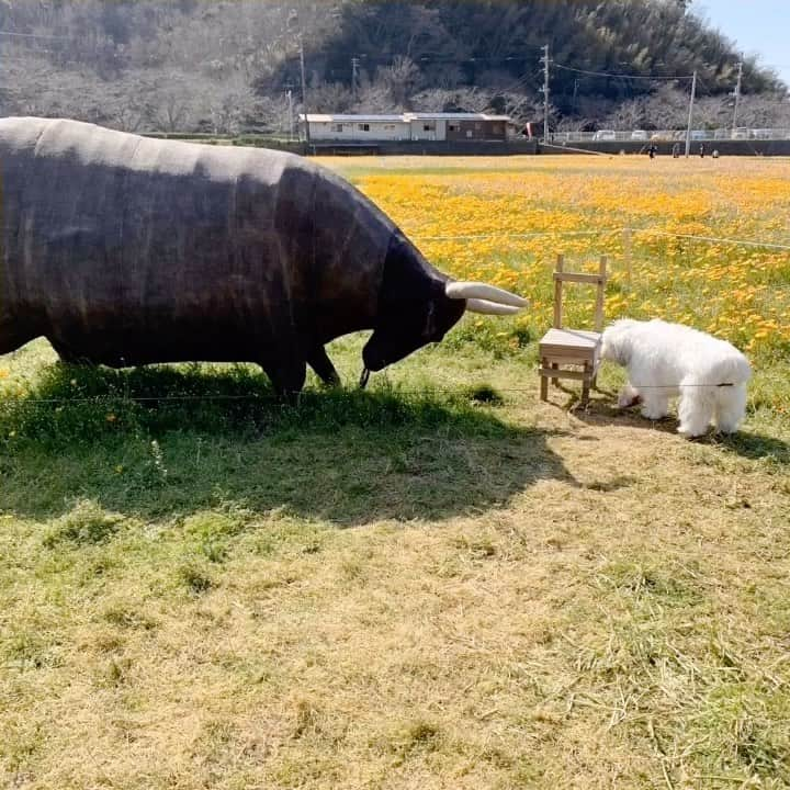 藤原美智子のインスタグラム