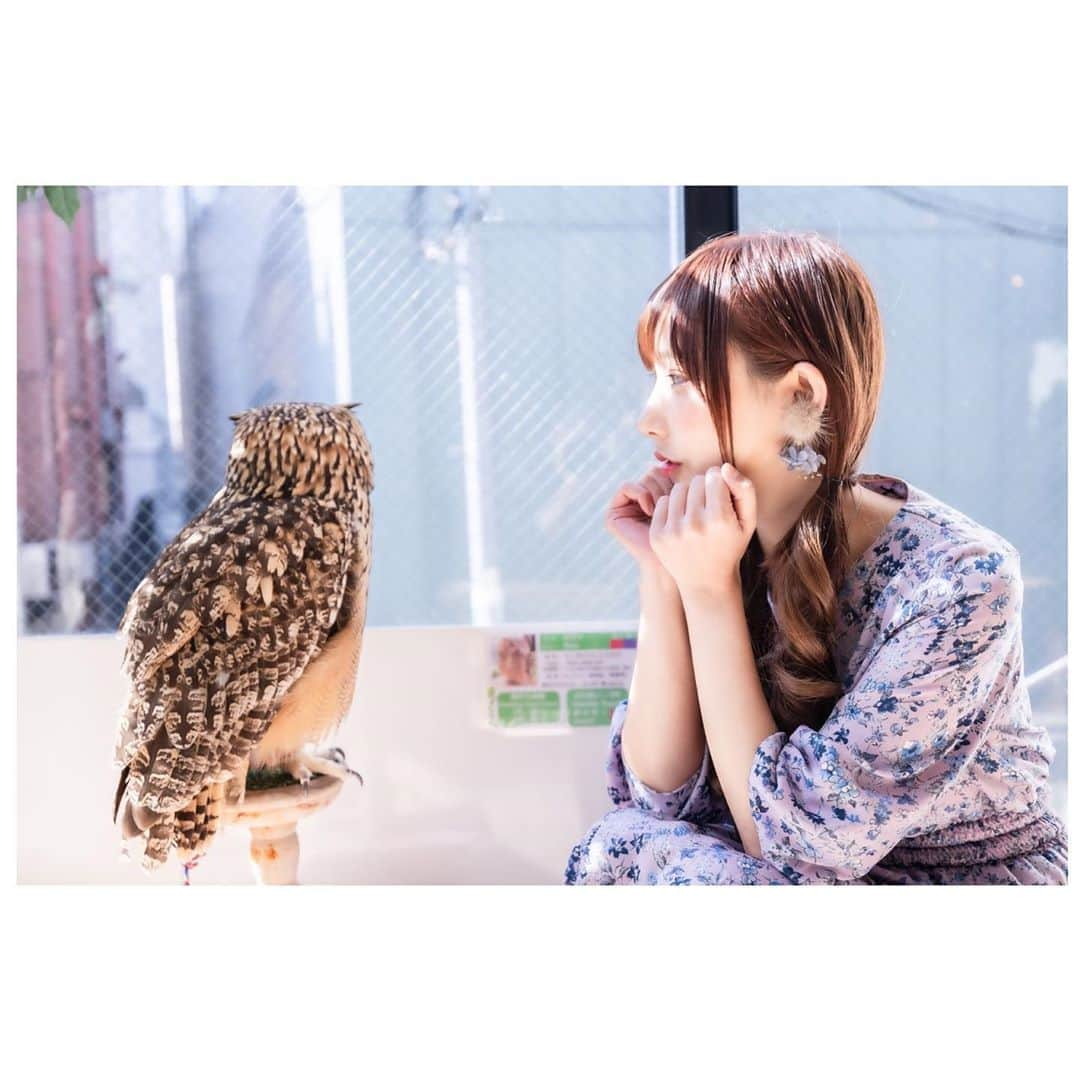 花咲来夢さんのインスタグラム写真 - (花咲来夢Instagram)「🦉可愛くて癒された🤤✨💓💓 #🦉 #フクロウカフェ #原宿 #ポートレート #portrait #japanesefood」3月8日 8時30分 - raimu_charlotte