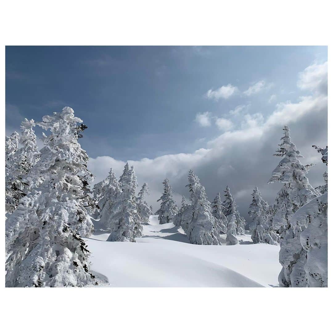 のインスタグラム：「かなりの雪不足ではあったけど、今年も満足満喫できた雪山シーズン。 世界的に異常気象が多くなってきている中、自然と一緒に遊ばせてもらえる事は本当に有難い事だし、本当に楽しい。 また来年もたくさん滑れますように...❤︎ #snow #樹氷」