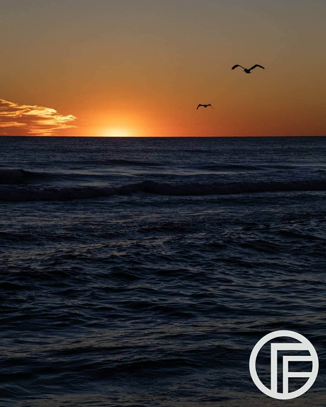 Timo the Fotographerのインスタグラム：「"What would an ocean be without a monster lurking in the dark? It would be like sleep without dreams." ⠀⠀⠀⠀⠀⠀⠀⠀⠀ -Werner Herzog ⠀⠀⠀⠀⠀⠀⠀⠀⠀ _______________ Doing something a little different today. This next series is going to be some ocean shots I took recently in Destin Florida. Most of these shots weren't even changed in Photoshop, just some minor Lightroom adjustments. @fantim  _______________ ⠀⠀⠀⠀⠀⠀⠀⠀⠀ #fantim #fotography #natgeo #natgeocreative #beautifulworld #travel #photography #photog #scenery #destination #landscape #nomad #vagabond #canon #nationalgeographic #natgeo #photographer #fotograf #instagramjapan #teamcanonusa #teamcanonyea #japancanon #instajapan  #florida #usa #america #写真 #フォトグラファー #ocean #beach」