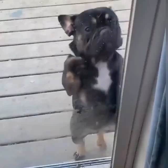 のインスタグラム：「Happy Weekend . SOUND ON🔊」
