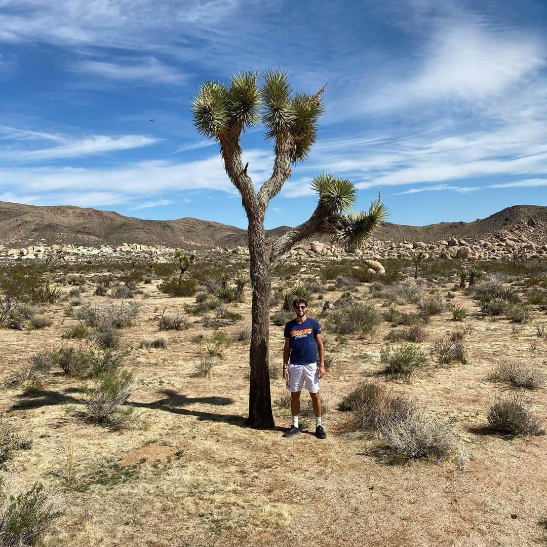 ドミニク・ティエムさんのインスタグラム写真 - (ドミニク・ティエムInstagram)「Where the streets have no name 🎶  Joshua Tree National Park」3月8日 2時58分 - domithiem