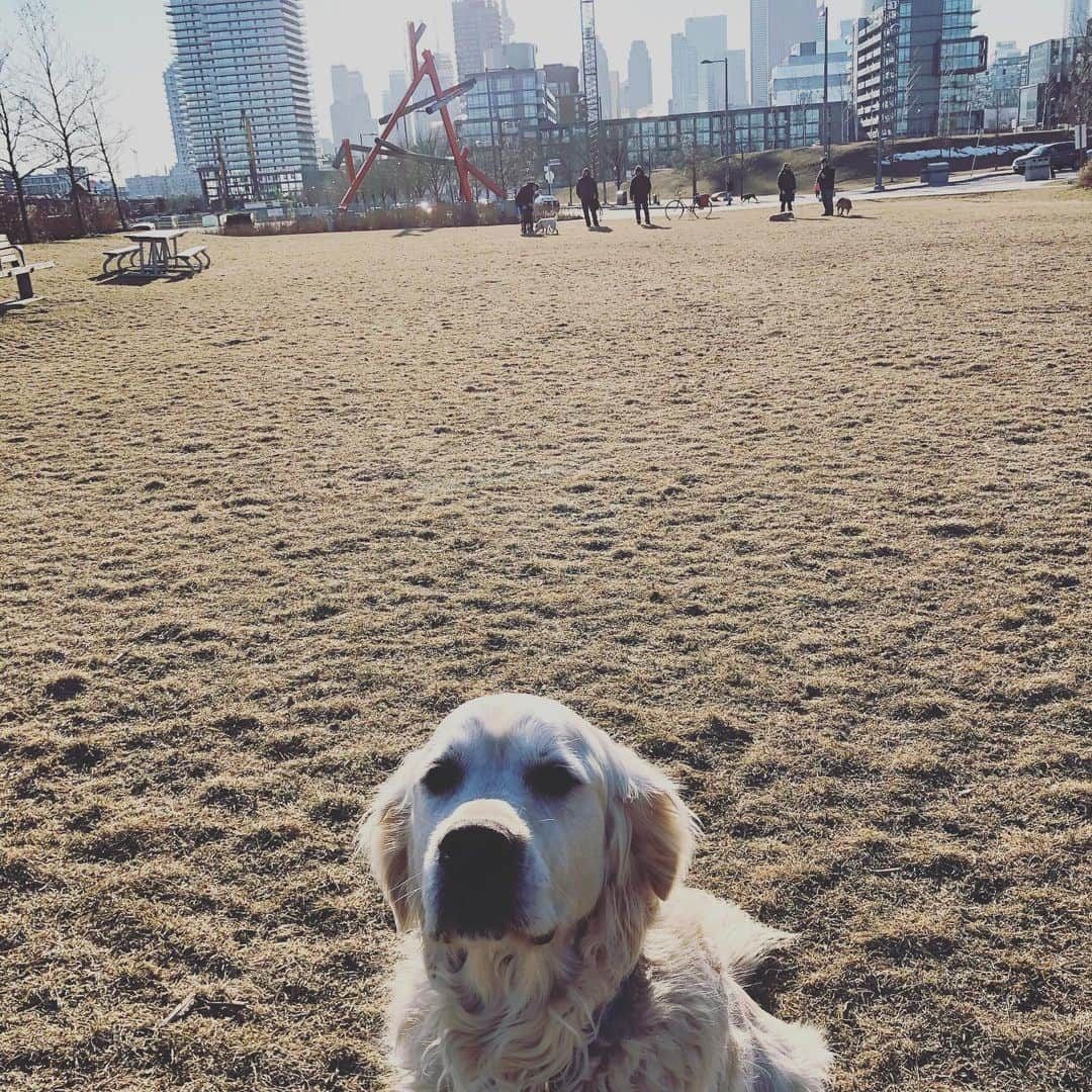 ジェフリー・バトルのインスタグラム：「Hitting up the parks on this beautiful Saturday!」