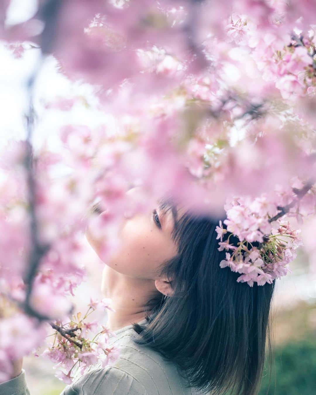 haru wagnusさんのインスタグラム写真 - (haru wagnusInstagram)「Sakura Namida  ㅤㅤㅤㅤㅤㅤㅤㅤㅤㅤㅤㅤㅤ ㅤㅤㅤㅤㅤㅤㅤㅤㅤㅤㅤㅤㅤ #sakura  #hasselbladx1d  ㅤㅤㅤㅤㅤㅤㅤㅤㅤㅤㅤㅤㅤ」3月8日 18時55分 - wagnus