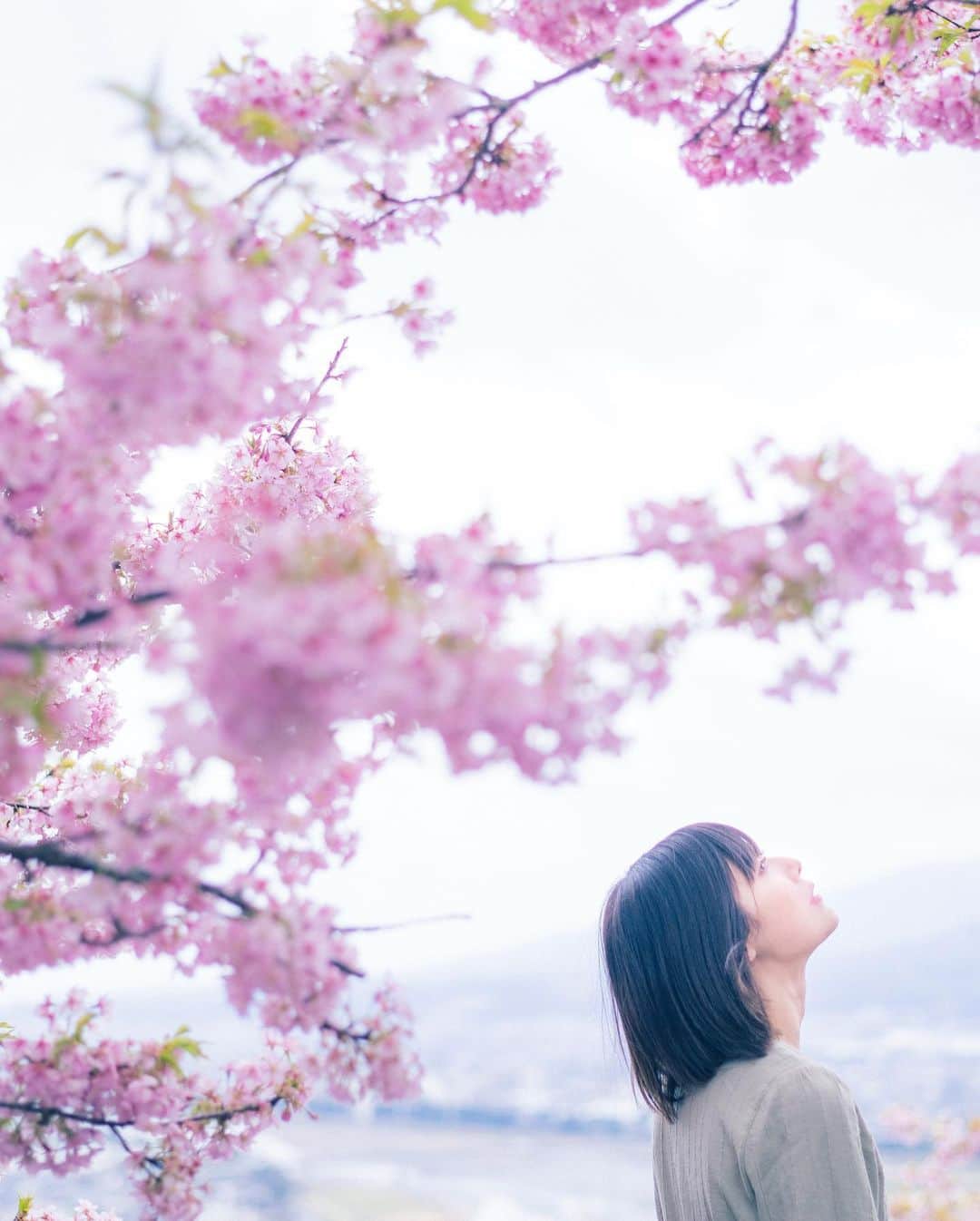 haru wagnusさんのインスタグラム写真 - (haru wagnusInstagram)「Sakura Namida  ㅤㅤㅤㅤㅤㅤㅤㅤㅤㅤㅤㅤㅤ ㅤㅤㅤㅤㅤㅤㅤㅤㅤㅤㅤㅤㅤ #sakura  #hasselbladx1d  ㅤㅤㅤㅤㅤㅤㅤㅤㅤㅤㅤㅤㅤ」3月8日 18時55分 - wagnus