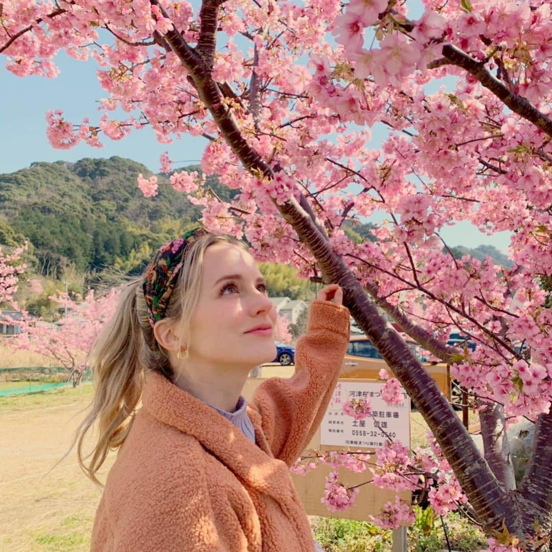 ナタリー・エモンズのインスタグラム：「河津桜が咲いている🌸今年は桜いっぱい見よう😍✨ #じょんのび日本遺産 #じょんのび #ナタリーエモンズ #エモやん」