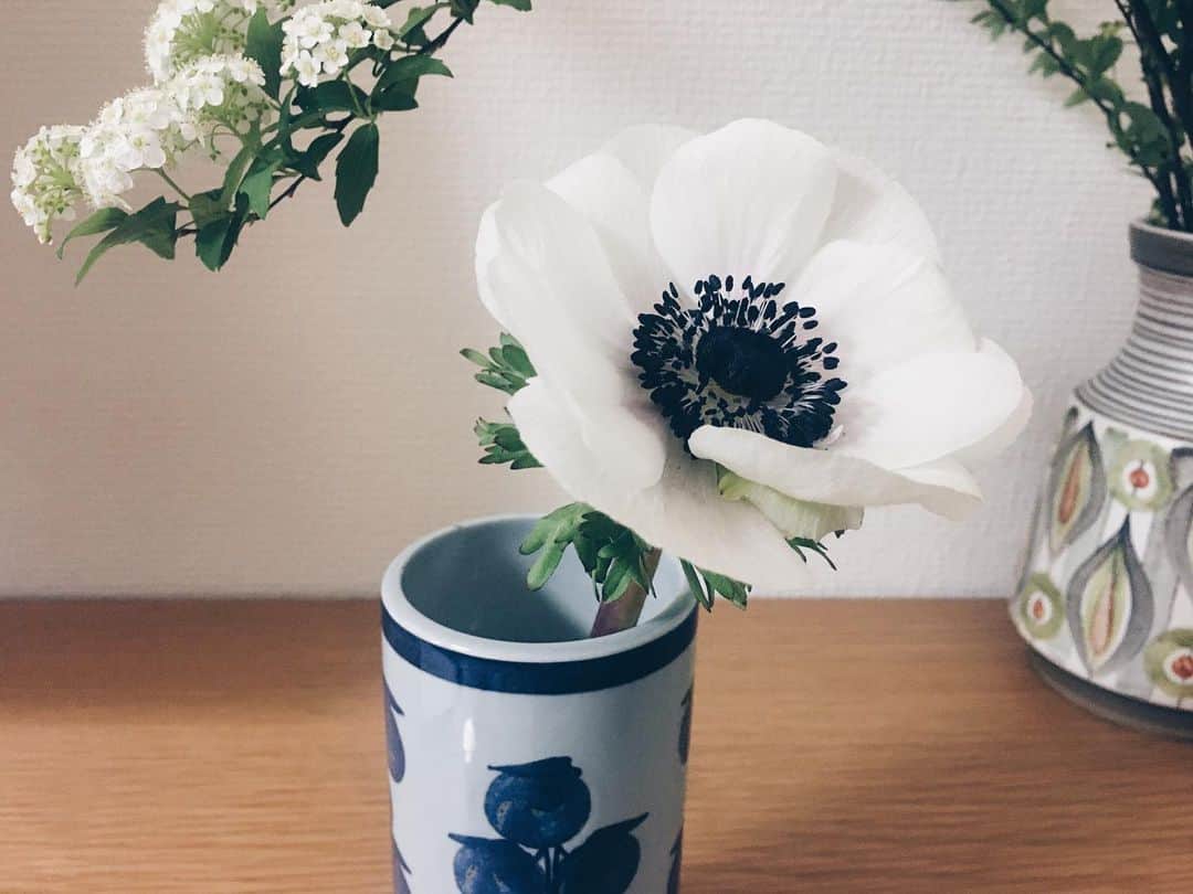 藤野可織のインスタグラム：「花はどうしてこんなに見事なんだろう。」