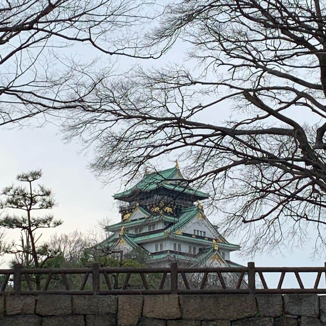 ニック・マルティネスさんのインスタグラム写真 - (ニック・マルティネスInstagram)「Osaka Castle est. 1583」3月8日 17時38分 - nickmartinez22