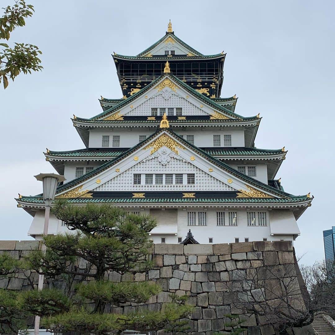 ニック・マルティネスさんのインスタグラム写真 - (ニック・マルティネスInstagram)「Osaka Castle est. 1583」3月8日 17時38分 - nickmartinez22