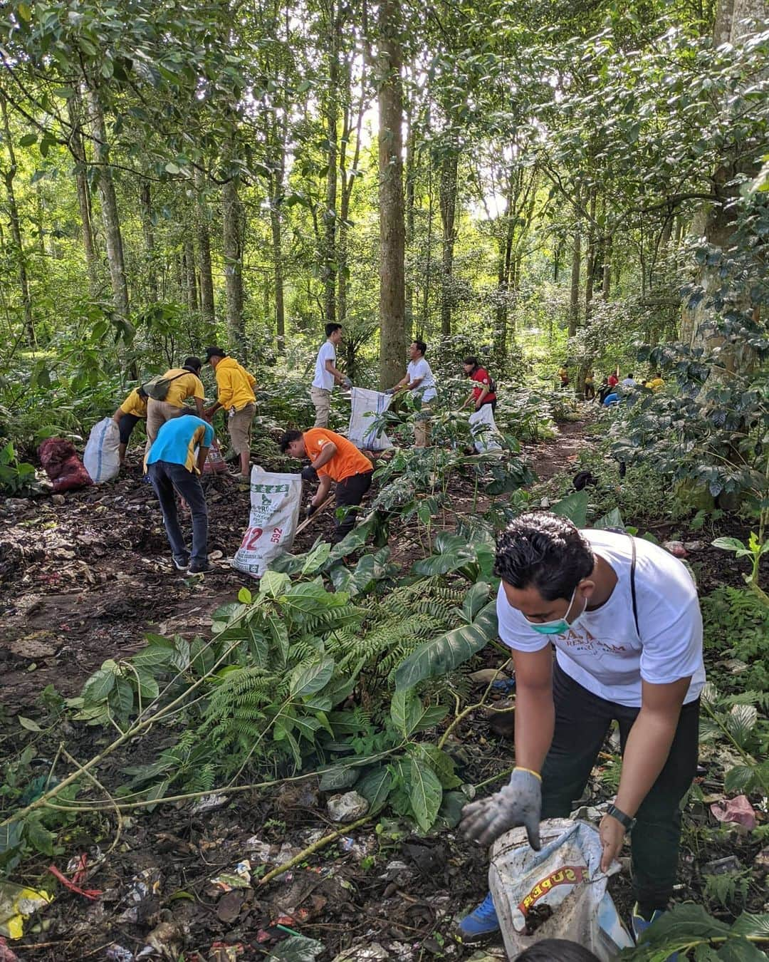 アラン・ディクソンさんのインスタグラム写真 - (アラン・ディクソンInstagram)「Be a Trash Hero. Join a cleanup, education yourself about plastic, share that knowledge and teach the next generation that has to live with this plastic. We will soon abolish plastic, that day will come, there is hope.⁣ 🌎🌍🌏 ⁣ Thanks to @trashheroindonesia & @trashhero_canggu for their amazing work and community involvement. ⁣ Did you know that the jungles are now being covered in trash? This madness has to stop! Stop using single use plastic.⁣ ⁣ #plastic #plasticfree #plasticpollution #recycle #environment #zerowaste #sustainability #ecofriendly #pollution #climatechange #savetheplanet #ocean #jungle #eco #reuse #nature #recycling #noplastic #earth #plastik #waste #gogreen #sustainable #trash #wildlifehabitat #reduce #photography #bali #indonesia #trashhero」3月8日 17時46分 - daxon