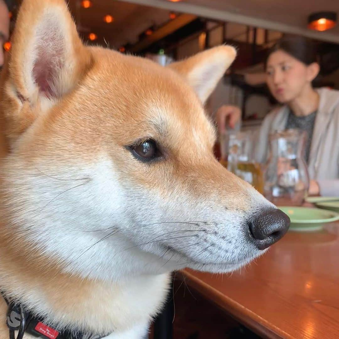 大山加奈のインスタグラム