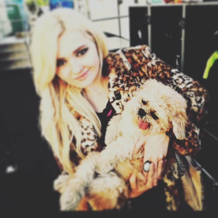 アビゲイル・ブレスリンさんのインスタグラム写真 - (アビゲイル・ブレスリンInstagram)「My heart is so broken to hear that the incredible @marniethedog has passed away at 18 years old🥺 I got to meet this sweetheart back in 2015, and am so thankful I have this photo. What a legend. I hope my kitty Gizmo and you are establishing peace between felines and canines up in heaven. RIP Marnie. You will be missed :( Sending my love and condolences to her owners, who loved her immensely.」3月8日 11時47分 - abbienormal9