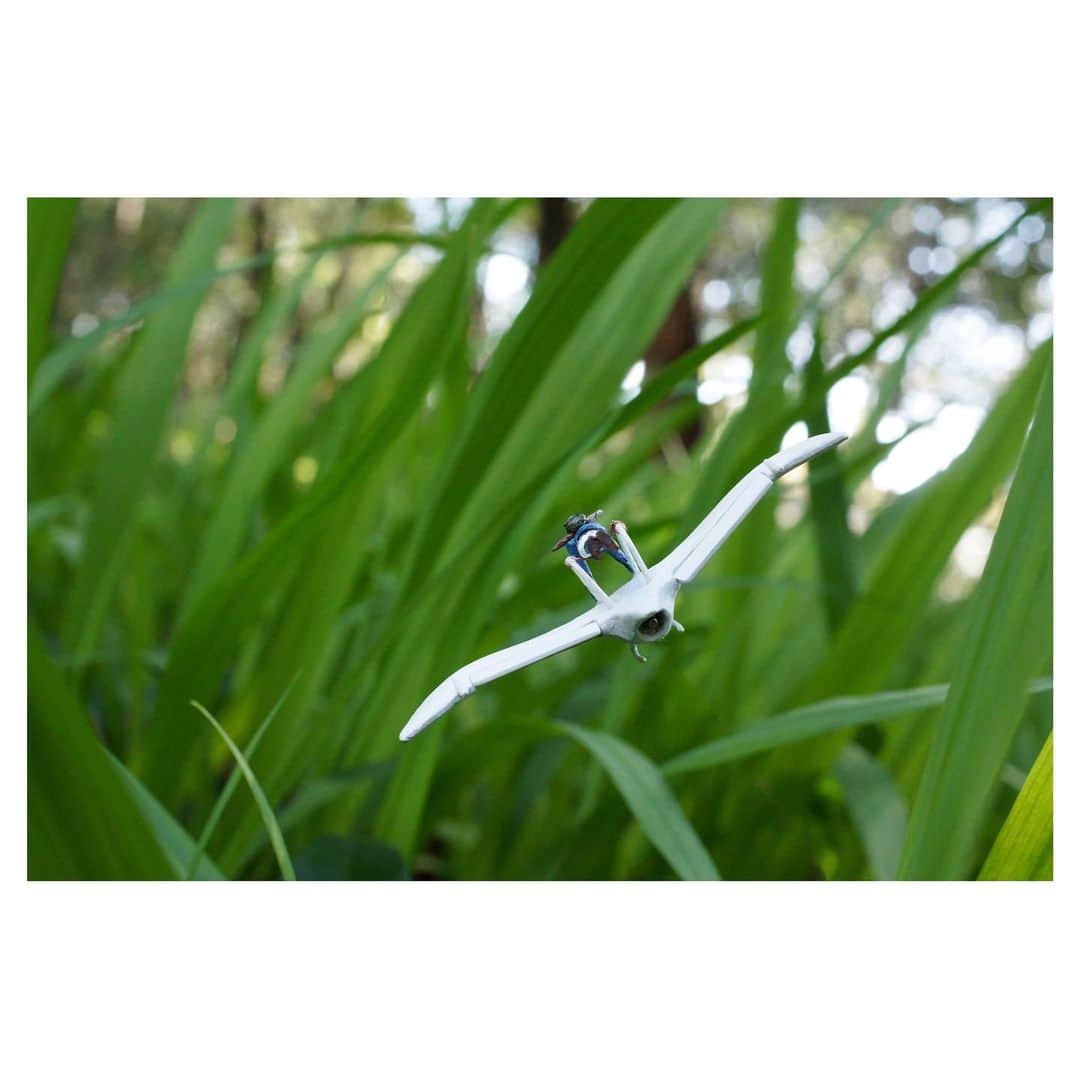 nqouのインスタグラム：「#風の谷のナウシカ #ナウシカ #nausicaa  #ジブリ #ghibli #ミニチュア #miniature #nqouminiature」