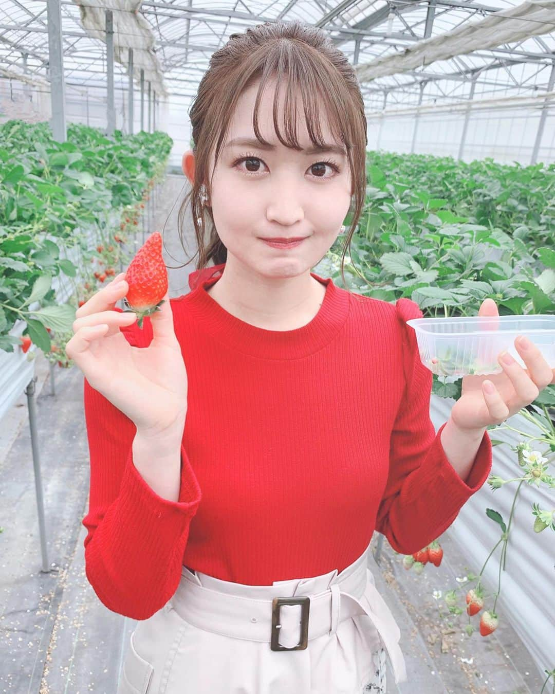 沢井里奈さんのインスタグラム写真 - (沢井里奈Instagram)「♡ . 今季初のいちご狩りに テンション上がって 分かりやすくいちごコーデ🍓🌸笑 . 普段赤とか着ないので 新鮮でした☺️💓💓 後ろのリボンがお気に入り🎀✨ . . #さわーコーデ 👗💝 tops♡ #willselection . skirt♡ #rirandture . . #strawberry #instafood #ootd #coodinate #instafashion #instalove #instalove #사복 #옷스타그램 #팔로우 #셀카 #얼스타그램 #메이크업 #いちご狩り #いちご #澤田農園 #常滑 #今日のコーデ #いちご狩りコーデ #沢井里奈」3月8日 19時04分 - sawairina