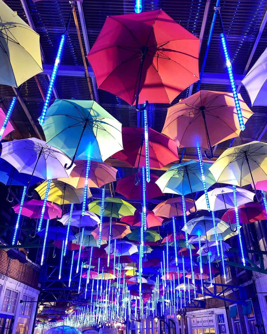のインスタグラム：「﻿ ﻿ 夜のハウステンボス🌷🌙﻿ ﻿ 園内ぜんぶきらきらに！﻿ あったかくて人もいなくて﻿ ゆっくり見てまわれました🦄﻿ ﻿ イルミネーションに囲まれながら﻿ 飲めるbarもあって光る飲み物も🍸﻿ かわいいやつ撮りたい気持ちと﻿ ビール飲みたい気持ちが重なって﻿ こんなことになった🥺﻿ ﻿ もうぜーんぶきらきらで﻿ とても心が癒された🌙✨✨﻿ ﻿ ﻿ ﻿ ﻿ ﻿ ﻿ ﻿ ﻿ ﻿ ﻿ ﻿ #長崎県 #長崎市 #長崎観光 #ハウステンボス #ハウステンボス🌷 #イルミネーション #ハウステンボスイルミネーション #HB #ハウステンボス光の王国」
