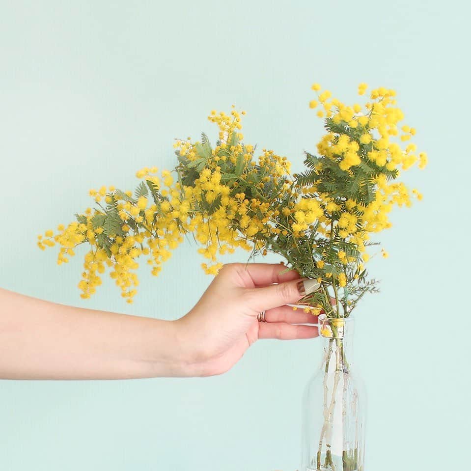 AETHERさんのインスタグラム写真 - (AETHERInstagram)「3月8日はミモザの日  ミモザは幸せを運ぶ花と言われており、イタリアでは感謝を込めて身近な女性にプレゼントするそうです。  世代を超えて愛されている黄色のお花。ぜひお部屋に飾ってみてはいかがでしょうか…？ 💛  詳しく読みたい方は以下にアクセスでお読みいただけます▼連載コラム▼ 『3月8日はミモザの日』﻿ https://aet.jp/contents/2020/02/15/flower-mimoza/﻿ ﻿ #aether #aether_leather #エーテル #本革 #レザー #ミニバッグ  #イエロー #黄色 #レザー小物 #革小物 #レザーブランド #プレゼント #ミモザ #花のある生活 #花のある暮らし #花言葉 #花 #一輪挿し#ミモザの日 #国際女性デー #festadelladonna #flowerstagram #mimosa #flowerlovers」3月8日 15時39分 - aether.tokyo