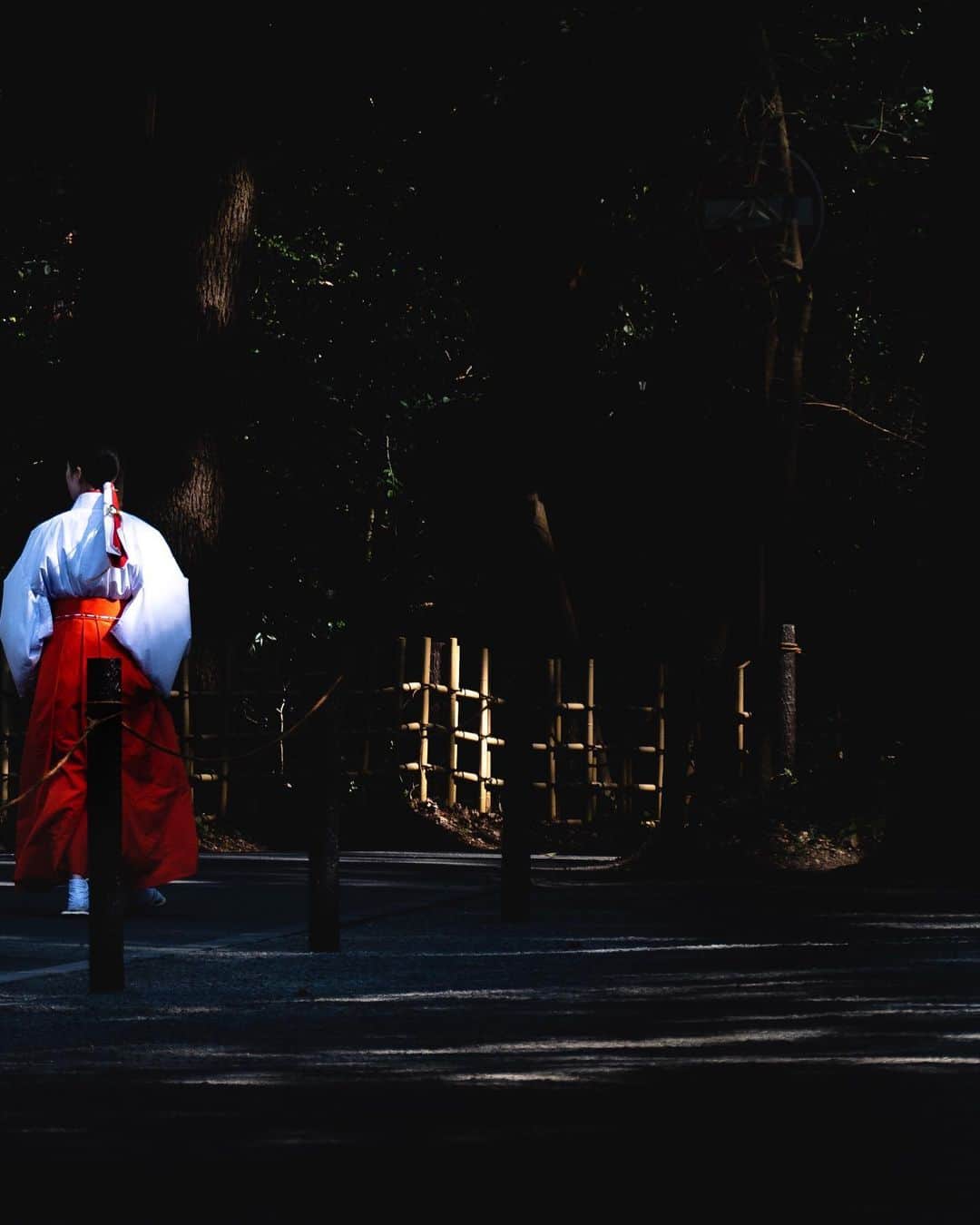 田村幸士さんのインスタグラム写真 - (田村幸士Instagram)「swipe↔️ It’s almost 100years. . #hellofrom #meijijingu  @leica_camera @leica_camera_japan」3月8日 16時11分 - kojimg