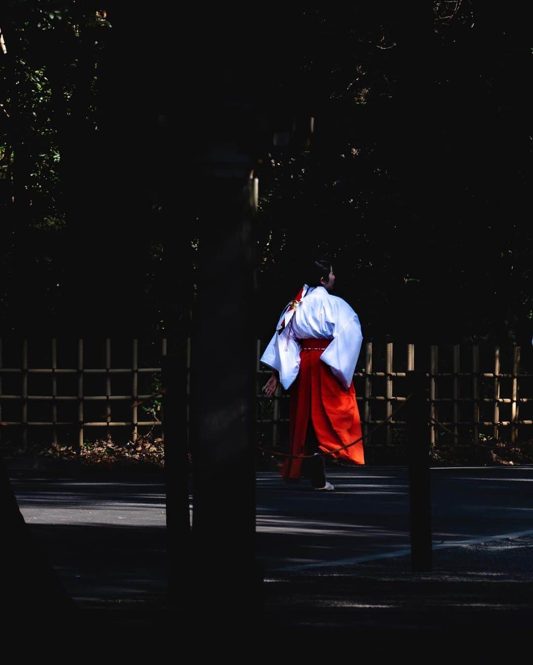 田村幸士さんのインスタグラム写真 - (田村幸士Instagram)「swipe↔️ It’s almost 100years. . #hellofrom #meijijingu  @leica_camera @leica_camera_japan」3月8日 16時11分 - kojimg