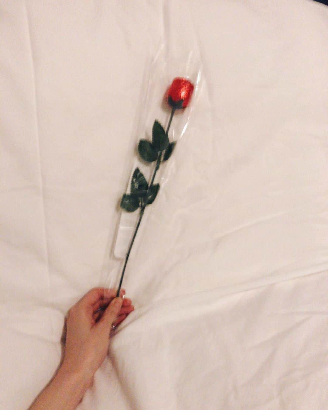 中田絢千のインスタグラム：「NY, pick me up. 🌹 「あやかちゃん、そういうときにNY来るの、すごくいいと思うよ。おすすめ。」 年末に貰ったこの一言にがっっっしと心を掴まれて、先月、本当にニューヨークへ飛んだ。航空券も直前。下調べも準備もそこそこ。  妙に怠さをひきずっていた年末前後の私。何があったわけでもなく、といって何にもなかったわけでもなく。“そういうとき” だった。 ほら、みんな毎日いろいろあるじゃないですか。それと同じで、丁度空気の入れ替え期だったんだと思う。  本当に行ってよかったよ！！！！！ 劇的にどこか変わったわけじゃないけど、とにもかくにも気持ちと頭が軽くなった。これ大事。 一人で出歩く時間もあって、歩けば歩くほど、靄がかかった感度が上がっていくような。うまく言えないんだけど、好奇心の塊だったころとか生まれたてのころに返る感じがした。  あちらで触れた ひと・もの・こと・ねこ　の持つエネルギーにどこか救われること。毎日ちゃあんと腹が減ること。いい疲れとともにぐっすり眠れること。 そんな当たり前（のようで当たり前じゃないこと）の幸せを、こっちに帰ってきてから噛み締めています。  まずは、日本から急に転がり込んだ私（笑）を受け止めてくれた さわさん @sawatakai とチリ#chilifromabc に心からのお礼とビッグラブを！ そして、出会ってくれたみなさん、本当にどうもありがとう。また会いに行きます。  ちゃんと書いて残しておきたいことってたまにあるんだよね。長くなりましたが、バレンタインデーにもらったお花とともに。 #私的旅行記　としてお納めください〜。」