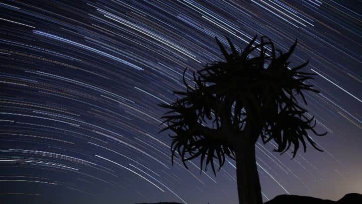 ペイジー・クラッセンのインスタグラム：「The seasons we've spent working in Namibia have probably shaped me more than any climb. Those seasons pushed me (and everyone involved, I would say) to my limit - physically and mentally - and then beyond. Maybe the lesson is that we don't really have limits, we just create boundaries for ourselves. Its only when things get hard that we realize our potential, our resilience, and our ability to adapt and persevere, are limitless. I know others have experienced this in much bigger ways, but I'm grateful for the months that taught me I'm capable of more. I hope I can carry that with me through life - in climbing and beyond.  There was a short period where I would set up a night lapse when I started work at 4am. I cant remember if this was one of those lapses, or if @arjandekock made this. I think it was probably the latter 😘. A beautiful reminder of a beautiful place.  #namibia #africa #timelapse #koekerboom」