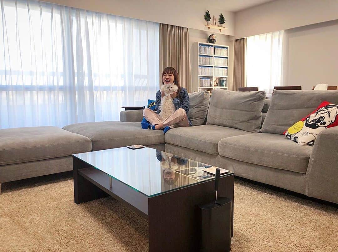 のインスタグラム：「.﻿ リビングがほとんど埋まるくらいの﻿ 大っっっきいソファを置くのが﻿ 夢だったんですーーー🛋✨﻿ ﻿ 形も柔らかさも色も﻿ ドンピシャな子を見つけて﻿ 私もびょーもご満悦です☺️❤️﻿ ﻿ #ソファ﻿ #家具 #アルモニア﻿ #armonia﻿ #sofa﻿ #190の旦那も寝そべれる💮 #私は寝返りがうてる💮笑」