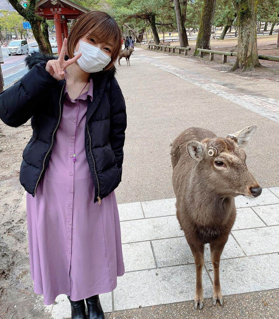 ヒラヤマンさんのインスタグラム写真 - (ヒラヤマンInstagram)「念願の鹿に会えたよ♡ 可愛い！めちゃ匂いかがれたw #奈良県奈良市 #奈良公園 #鹿に会えた #可愛い」3月8日 19時46分 - hirayaman2