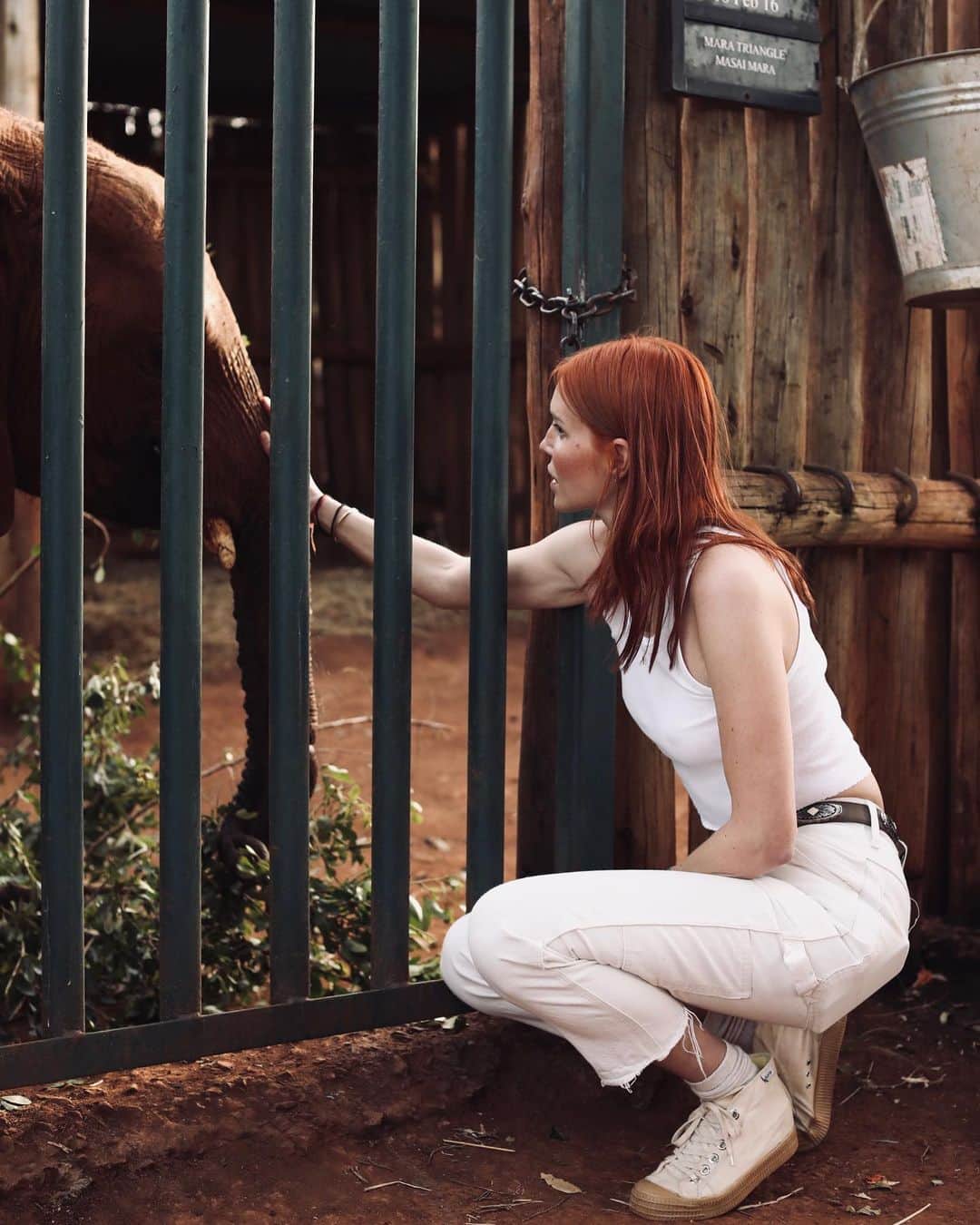 フィービー・ダールのインスタグラム：「Did you know that elephants are one of the most emotionally intelligent animals that exist? When a member of their family dies, they mourn for weeks or even years. Orphaned baby elephants who’ve lost their mothers can suffer from so much heart break that it can actually kill them. They feel feelings just as much as we do, if not more. They also never forget anyone, once they smell you once with their trunk, they will remember your scent forever. If we learn about the similarities between people and animals, and see ourselves in them, hopefully we will start to respect and protect them as one of our own. We are just visitors in their land. 🐘✨🐘」