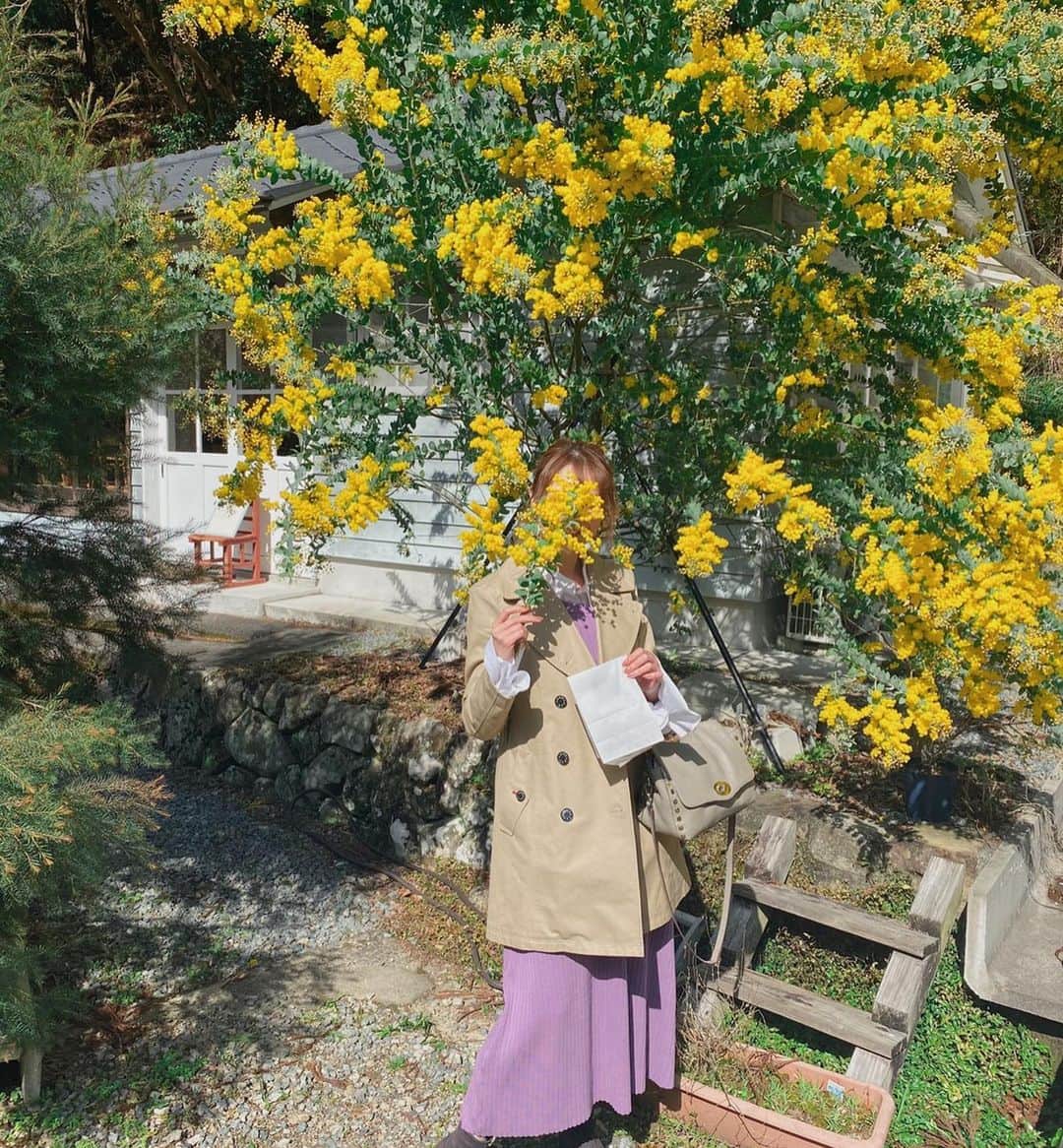 本谷紗己さんのインスタグラム写真 - (本谷紗己Instagram)「‪お誕生日メッセージありがとうございます❣️‬﻿ ‪30歳になりました🌟なにか変わるかなぁと思ったけど何にも変わりませんでした🙆‍♀️🌸笑‬﻿ ﻿ あっでも！撮影中、身長を測ったら﻿ 1センチ伸びていました😳😳😳﻿ ﻿ ﻿ ‪変わることも変わらないことも素晴らしいこと❣️‬﻿ ‪これからもたのしく過ごせますように☺️🌟‬﻿ ﻿ ﻿ そんな誕生日の3月8日は﻿ 国際女性デー‬﻿ ‪ミモザの日ということで‬﻿ 最後の写真は﻿ ‪ミモザのお花と一緒に撮ったお写真🌼‬﻿ ﻿ ﻿ ひきこもってるのでお写真がなくて﻿ おんなじシリーズのものでごめんなさい🤣🌸﻿ ﻿ この時のコーデもひとめぼれ❣️﻿ @juliaboutique さんのものです🙆‍♀️🌸﻿ ﻿  #撮影　#秋津野ガルテン #ポジティブアクティブアグレッシブ #ジュリアブティック #ヘアメイク　#メイクアップ #国際女性デー　#ミモザの日」3月8日 21時55分 - sappyon38