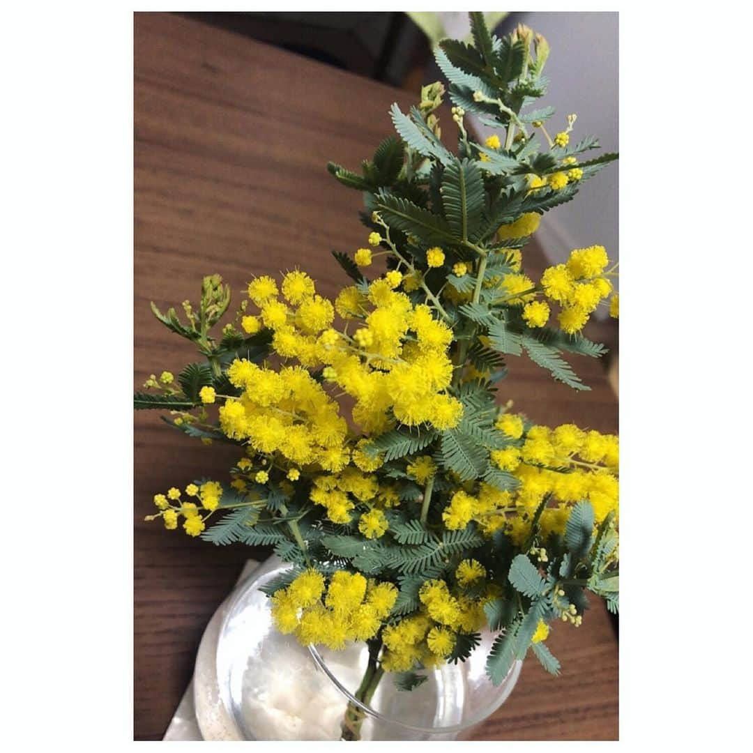桜帆ゆかりのインスタグラム