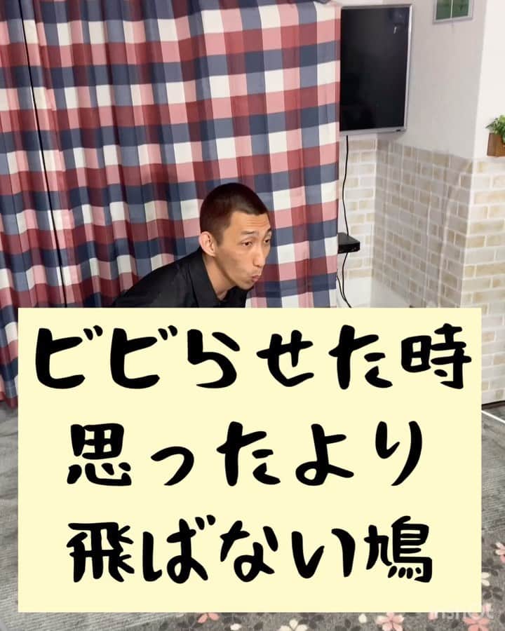 たいゆうきのインスタグラム：「タイの 動物あるあるモノマネ 「ビビらせた時思ったより飛ばない鳩」  #タイ動物 #動物 #あるある #ものまね  #鳩 #bird #もふもふ  #公園」