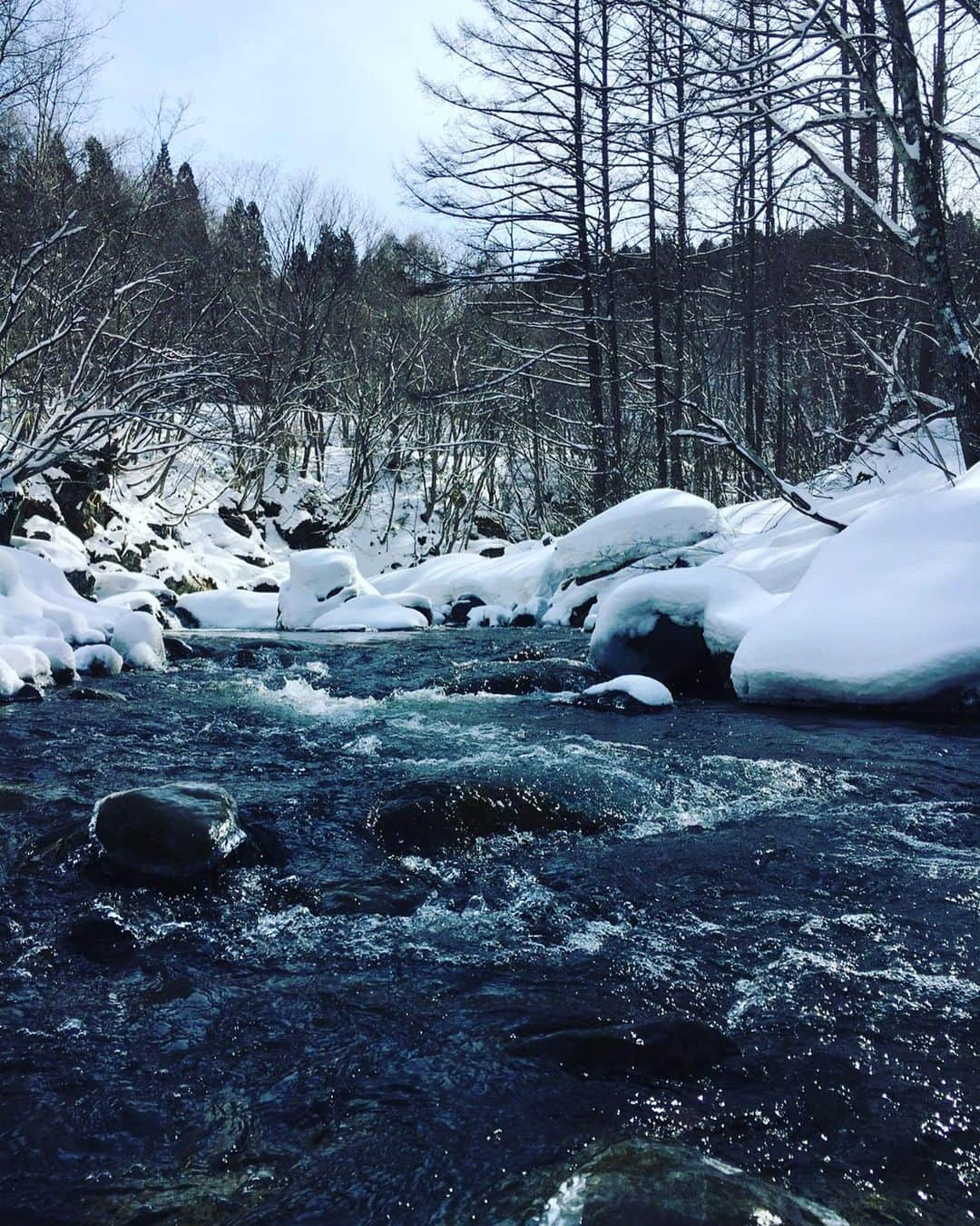 長島涼平さんのインスタグラム写真 - (長島涼平Instagram)「今年も渓流解禁。  花粉の届かない場所へ逃げまくった結果、豪雪地帯に辿り着き、魚は全くおらず。  しかし、午後から別の川へ入り、今年の解禁日もなんとか無事に美しい渓魚に会うことができました。  #渓流 #渓流解禁 #渓流ルアー #トラウト #ヤマメ #釣りキチ涼平」3月8日 22時49分 - ryoheeey