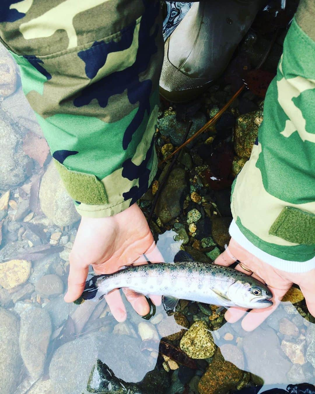 長島涼平さんのインスタグラム写真 - (長島涼平Instagram)「今年も渓流解禁。  花粉の届かない場所へ逃げまくった結果、豪雪地帯に辿り着き、魚は全くおらず。  しかし、午後から別の川へ入り、今年の解禁日もなんとか無事に美しい渓魚に会うことができました。  #渓流 #渓流解禁 #渓流ルアー #トラウト #ヤマメ #釣りキチ涼平」3月8日 22時49分 - ryoheeey