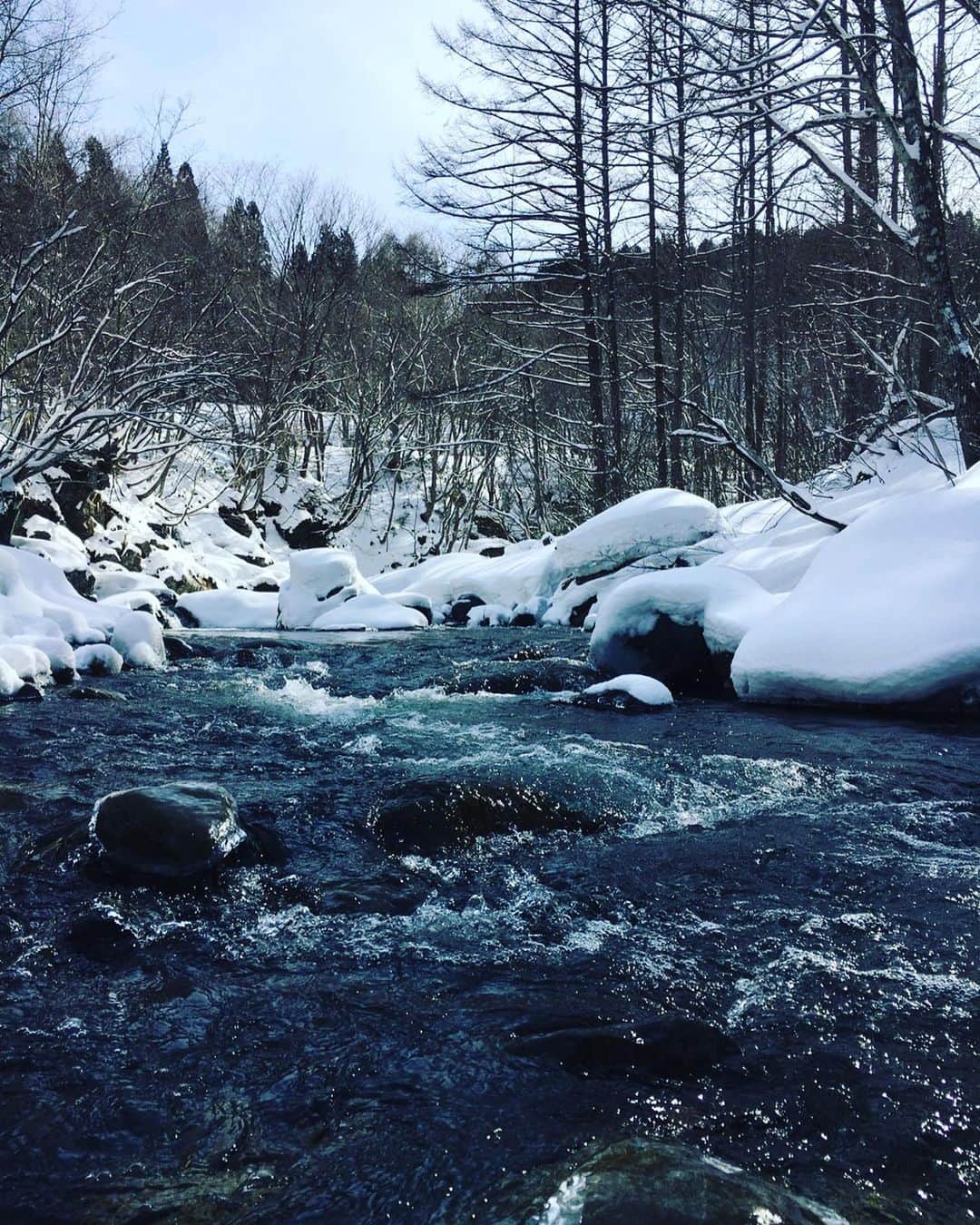 長島涼平のインスタグラム：「今年も渓流解禁。  花粉の届かない場所へ逃げまくった結果、豪雪地帯に辿り着き、魚は全くおらず。  しかし、午後から別の川へ入り、今年の解禁日もなんとか無事に美しい渓魚に会うことができました。  #渓流 #渓流解禁 #渓流ルアー #トラウト #ヤマメ #釣りキチ涼平」