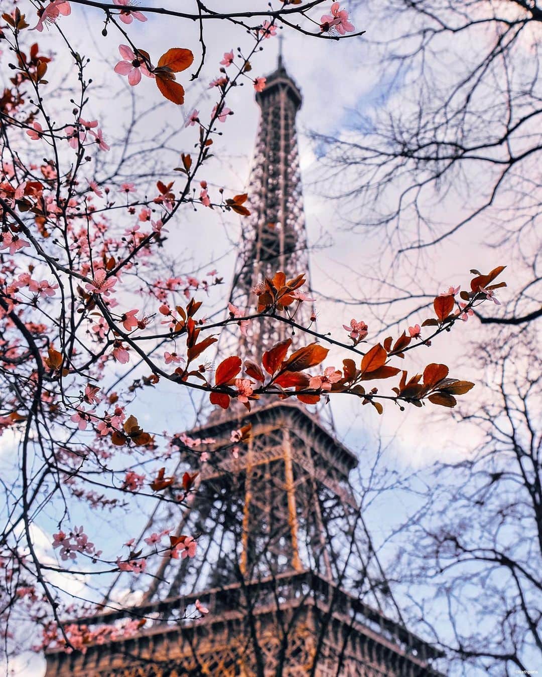 nathparisのインスタグラム：「SPRING IS COMING... . Have a nice Sunday 🌸」