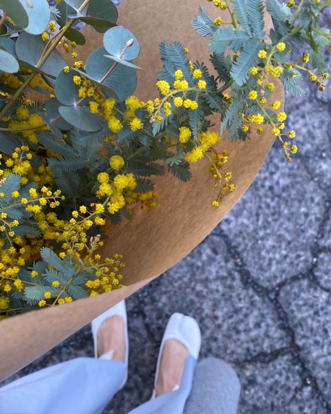 Keikooooooのインスタグラム：「「ミモザの日」 春がきたって感じで明るくてポンポンが可愛いな♡今日はお花屋さんでミモザの日なので売り切れてしまったんですって、2件目で出会えたお花♡ミモザ色のように早く笑顔の明るい日が戻ってきますように…🌿😌 そして、ミモザの日って、女性に感謝の気持ちを伝える記念日だったのですね。母に贈らないと💛 . #ミモザの日 #ミモザ #mimosa」