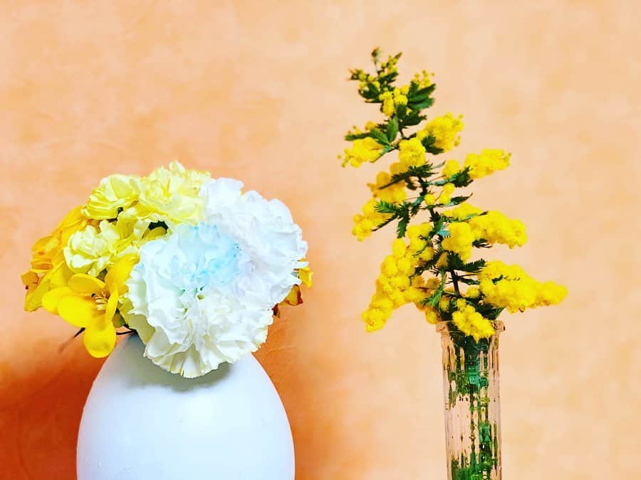 崎山一葉さんのインスタグラム写真 - (崎山一葉Instagram)「今日のお昼に、ふと、『ミモザを自宅用に買おうかなぁ』と思っていながらも買えず、気になっていたんです… ・ ・  そんな中、素敵な花束をいただき、ミモザが入っていてビックリ😍  一つ一つのお花が立派で、大輪のバラやカーネーションも❣️😍 ・ ・ ミモザの事を調べると、なんと‼︎‼︎ 今日3/8は【ミモザの日】❣️ 国際女性デー。 1人の女性として輝いていられますように✨✨ ・ お花をくれた遥華ちゃんありがとう💓 ・ ・ #国際女性デー #mimosa」3月9日 0時04分 - kazuha_sakiyama