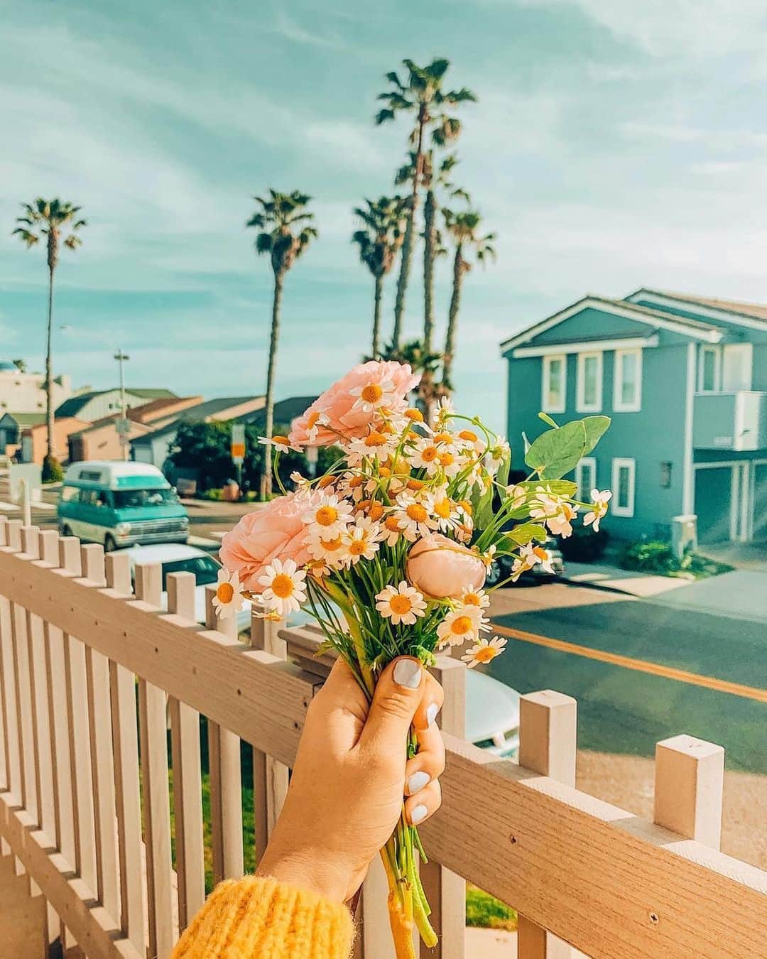 pomeloのインスタグラム：「Shooting the scenery along the way, @ariellevey forms a unique style with her dreamy and colorful photos.  #pomeloapp #pomelocam #pomelocamera #trip #flower #sunflower #leisure #vacation #pomelopreset  #spring」