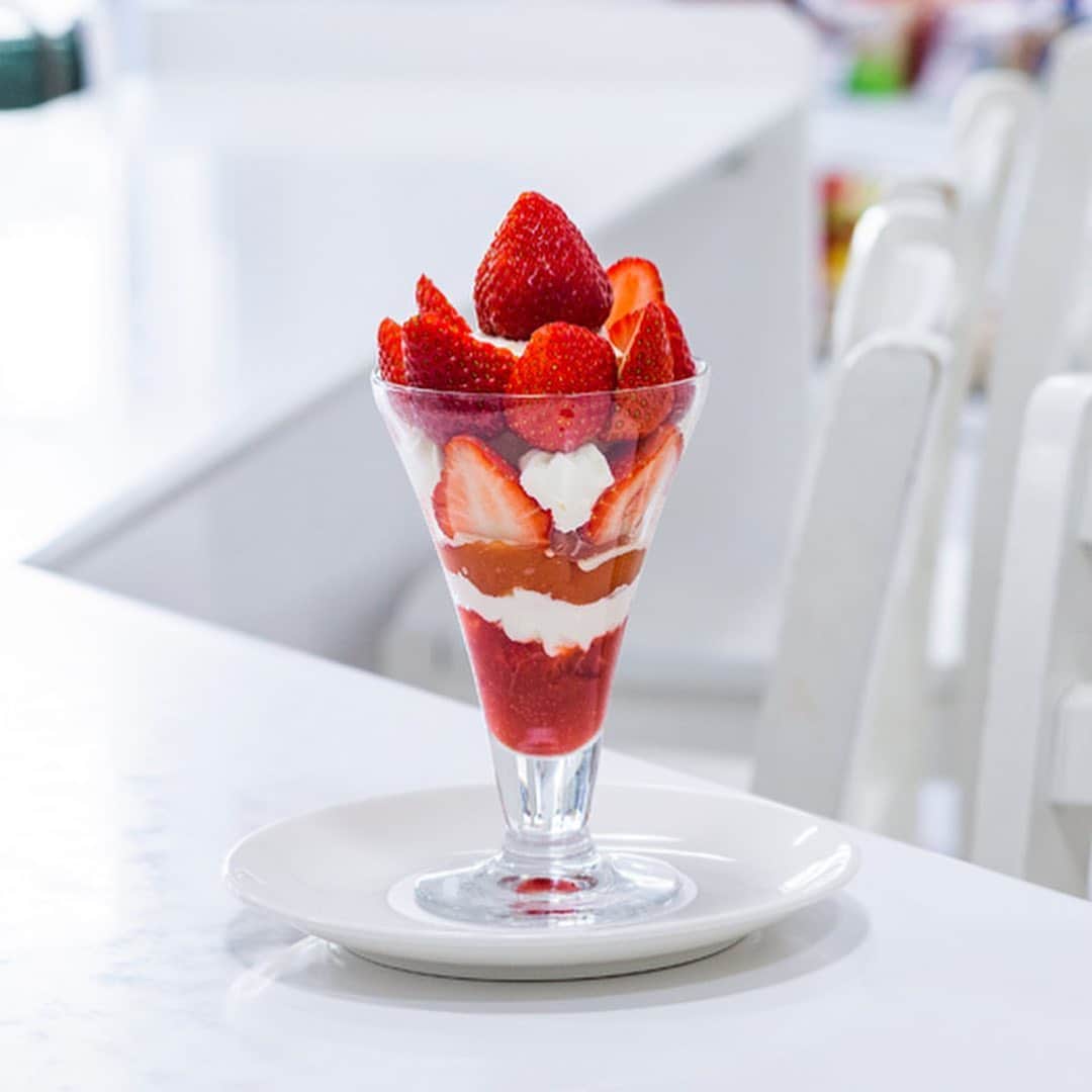 オズモール編集部のグルメインスタ