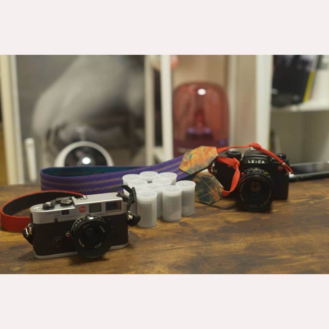 のインスタグラム：「朝からLeica M6を借りに 一郎くん(藤里一郎さん)の事務所へ。 フィルムの入れ方から教えてもらう。 毎日M型を触ってるはずなのに フィルムになった瞬間の慌てぶりよ。 えっと、カメラが明るくしろと言っているので えっとシャッター速度をえっとえっと こっちに回して・・ そして、一郎くんはどこ？え？え？ ここかな？カシャリ・・ までの時間が永遠(涙)  わたしの写真を飾ってくれてた。 ありがとう。 失敗してもいい用フィルムも プレゼントしてくれたので ありがたく四苦八苦してみる！」