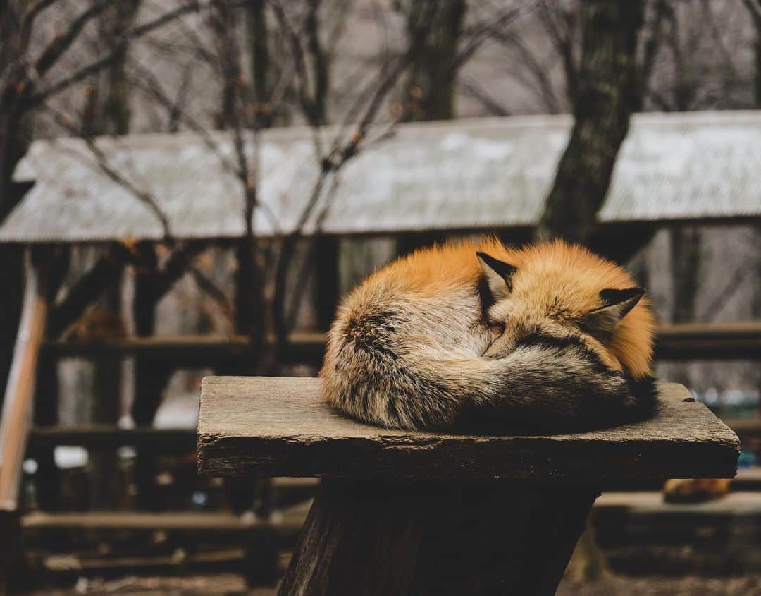 黃家怡（Bonnie C. Huang）のグルメインスタ