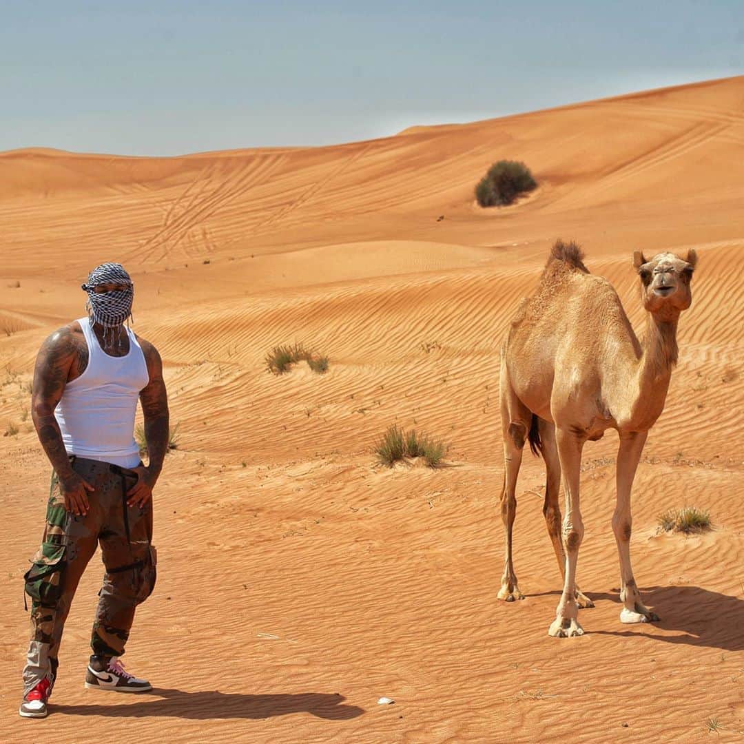 ゲームのインスタグラム：「Closest I ever been to a camel toe without any women around.」